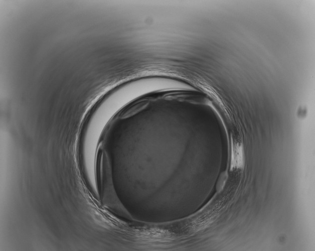 X0000096180387200801251221
