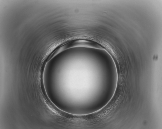 X0000096180389200801251221