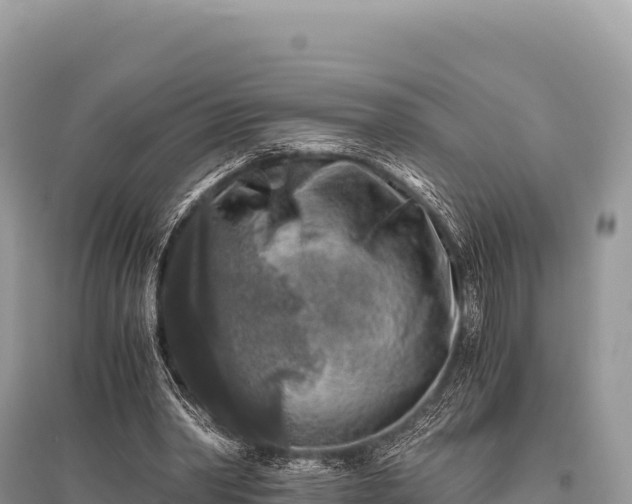 X0000096180390200801251221
