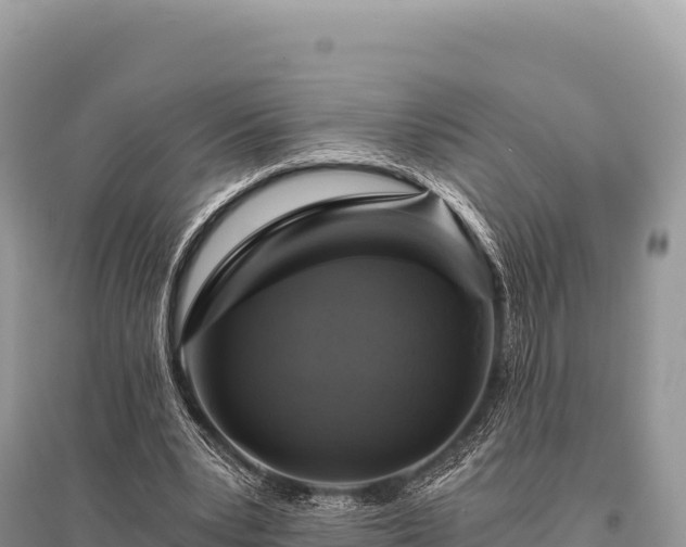 X0000096180391200801251221
