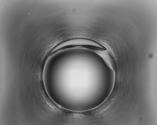 X0000096180393200801251221