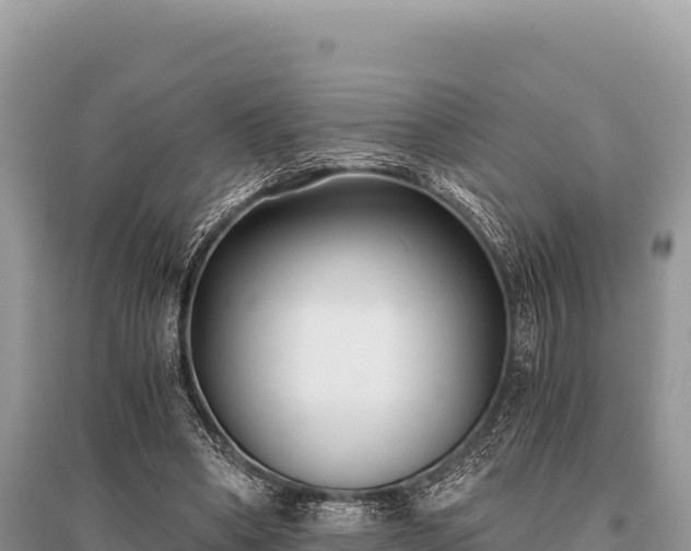 X0000096180394200801251221
