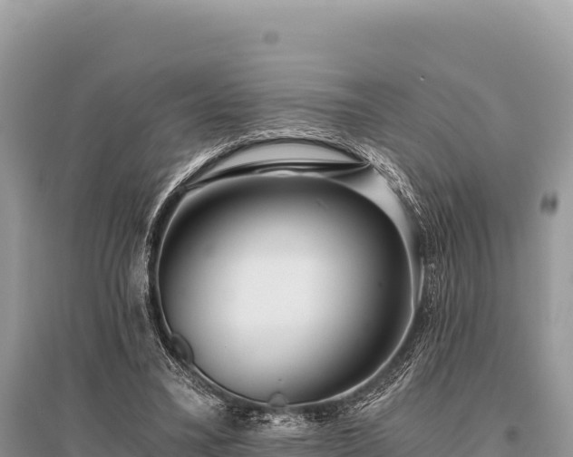 X0000096180395200801251221