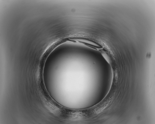 X0000096180396200801251221
