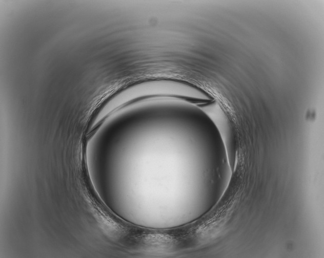 X0000096180397200801251221