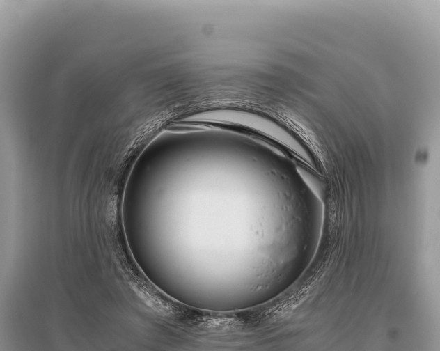 X0000096180401200801251221