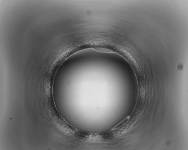 X0000096180403200801251221