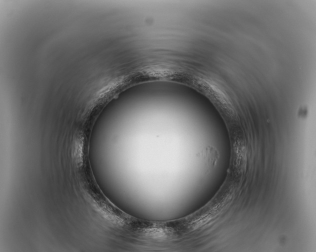 X0000096180404200801251220