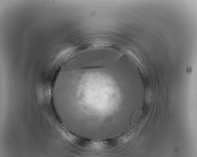 X0000096180405200801251220