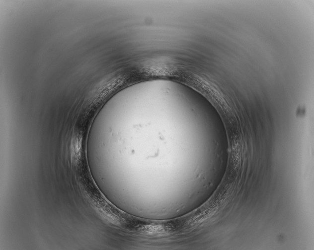 X0000096180406200801251220