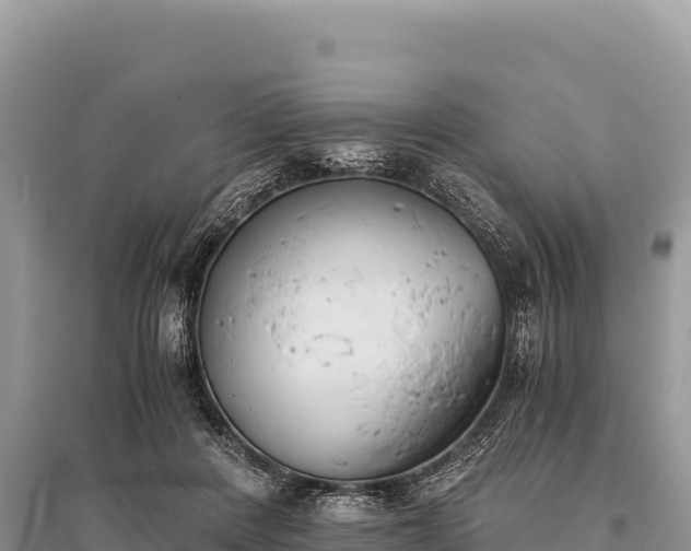 X0000096180408200801251220