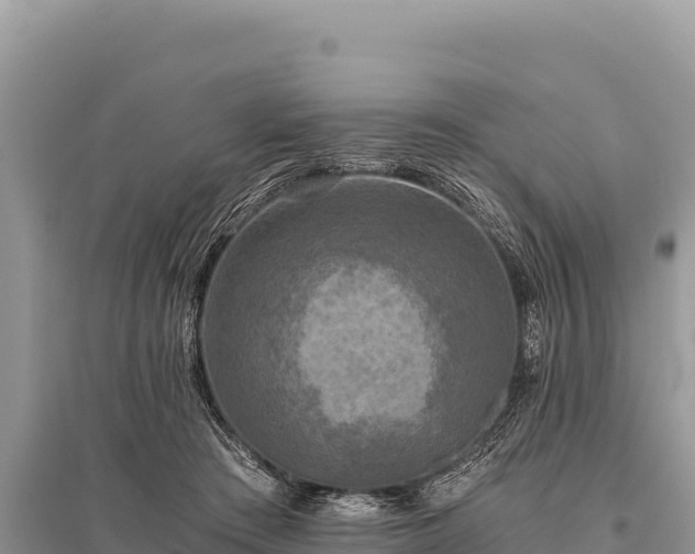 X0000096180409200801251220