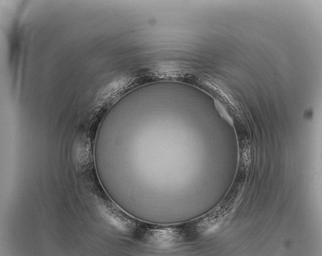 X0000096180411200801251220