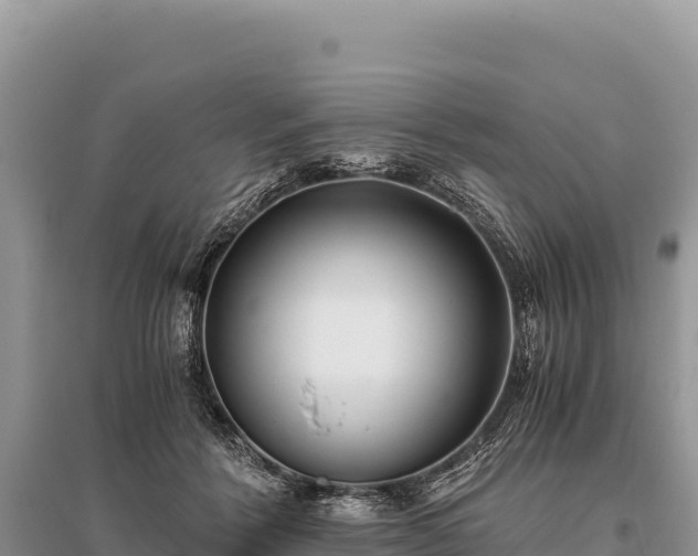 X0000096180412200801251220