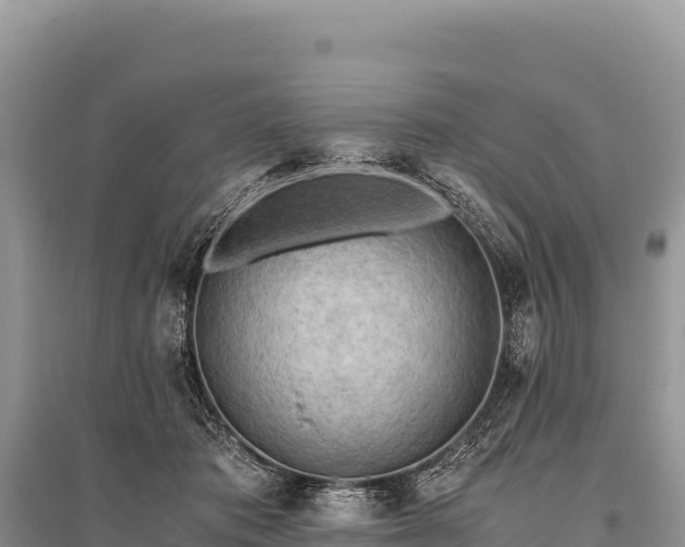 X0000096180413200801251220