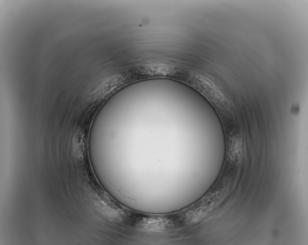 X0000096180414200801251220