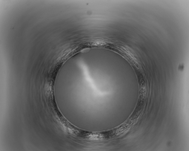 X0000096180415200801251220