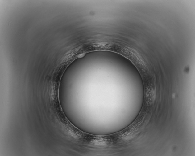 X0000096180416200801251220