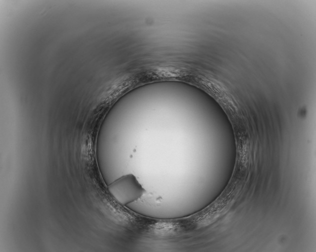 X0000096180418200801251220