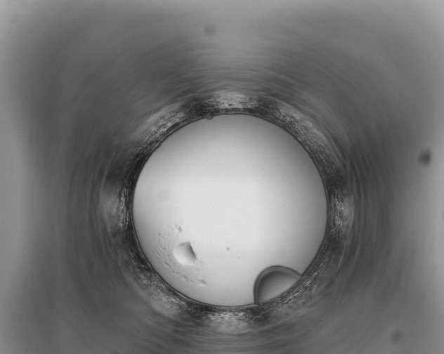 X0000096180422200801251220