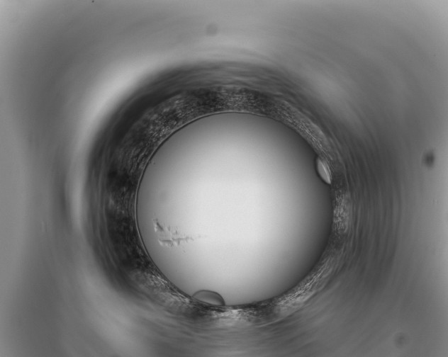 X0000096180430200801251220