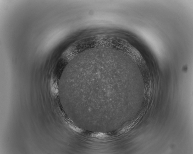 X0000096180431200801251220