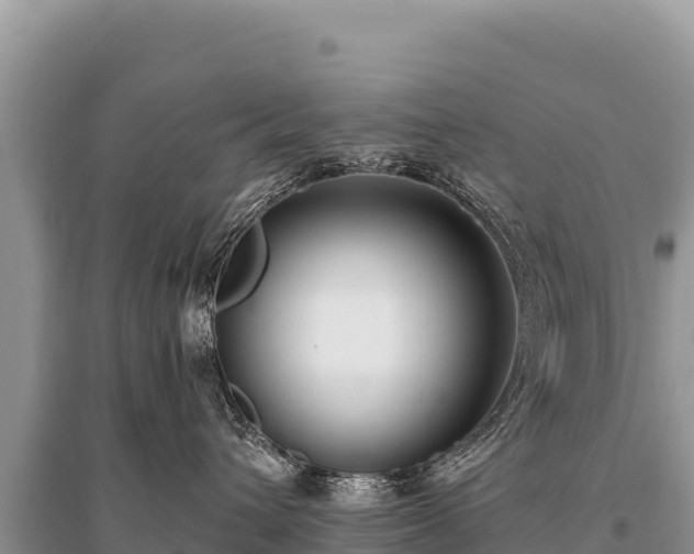 X0000096180432200801251220
