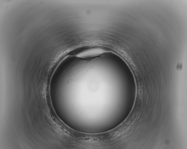 X0000096180434200801251219