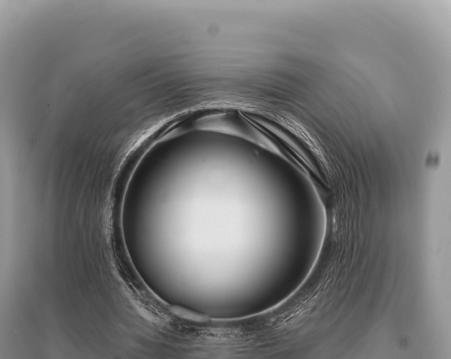 X0000096180436200801251219