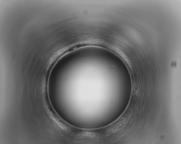 X0000096180437200801251219