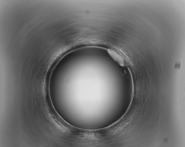 X0000096180439200801251220