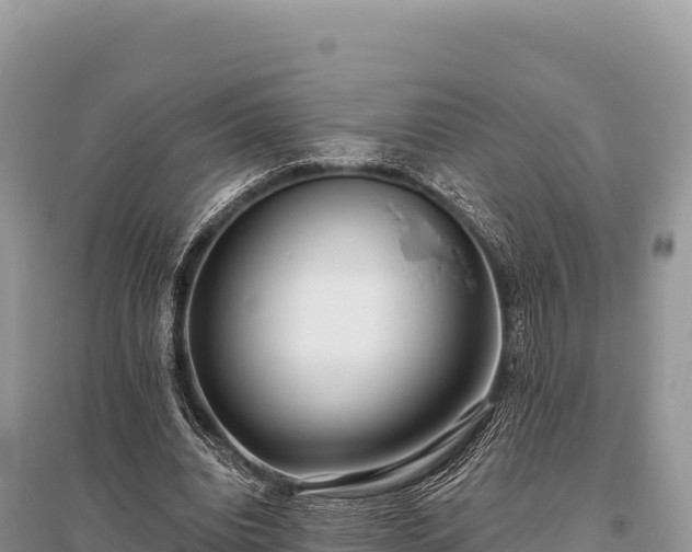 X0000096180440200801251220