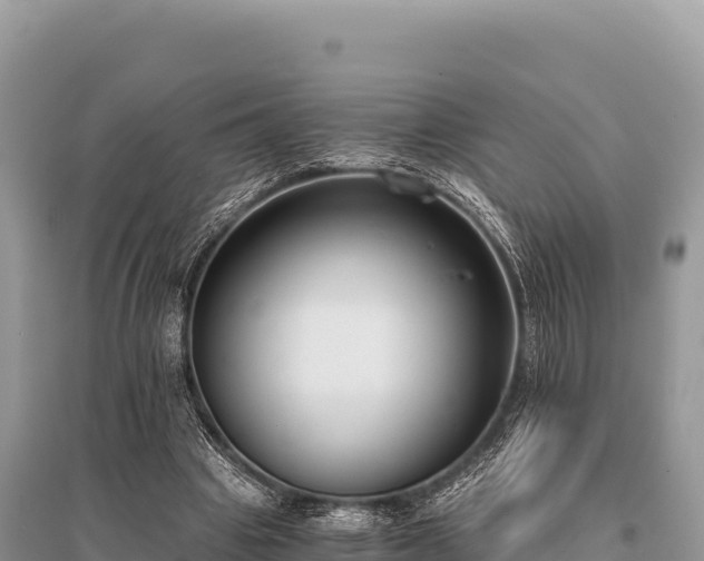 X0000096180441200801251220