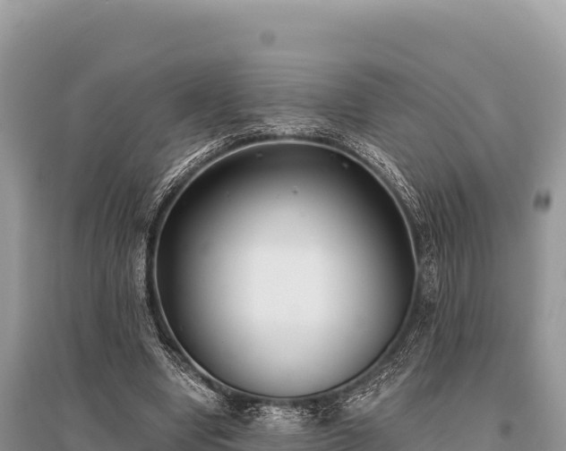 X0000096180442200801251220