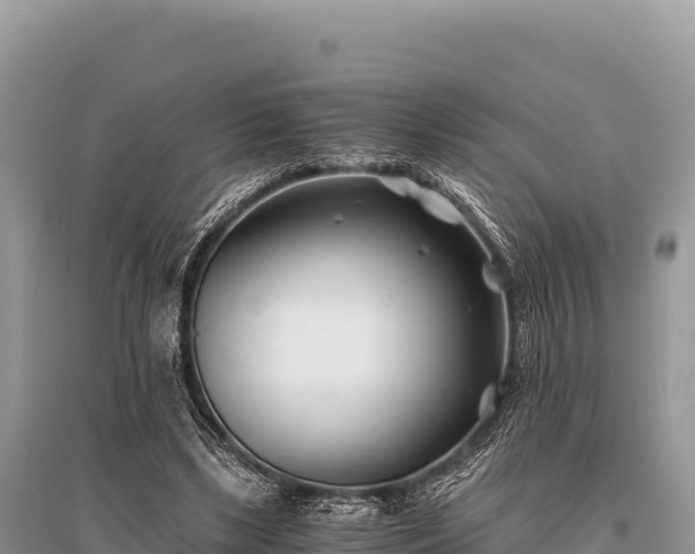 X0000096180443200801251220