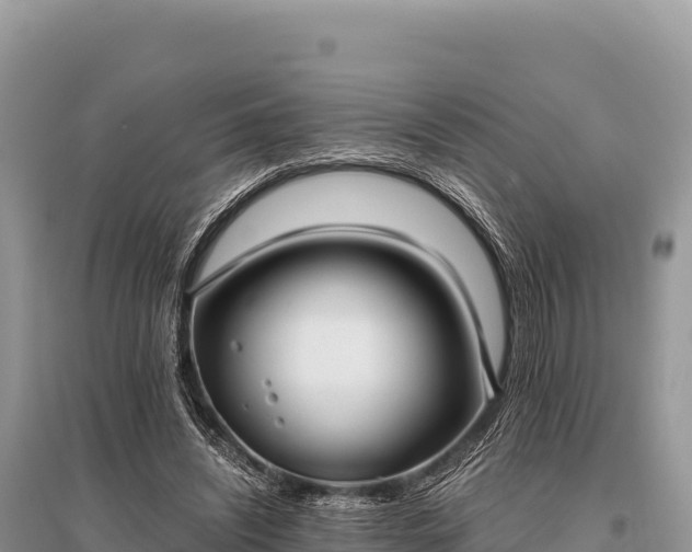 X0000096180444200801251220