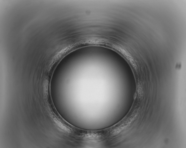 X0000096180445200801251220