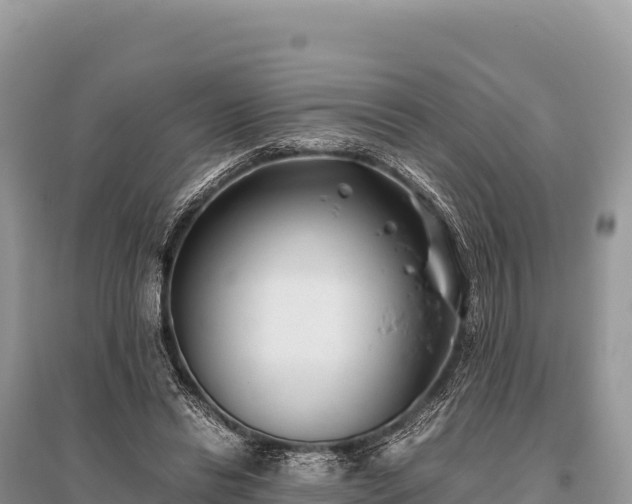X0000096180446200801251220