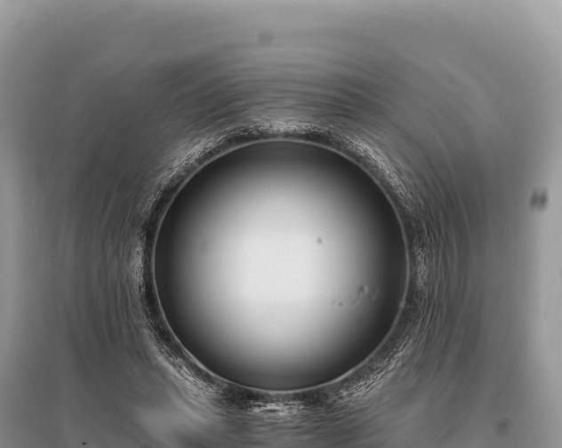 X0000096180447200801251220