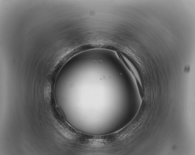 X0000096180448200801251220