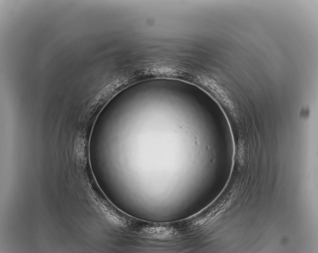 X0000096180449200801251220