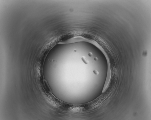X0000096180452200801251220