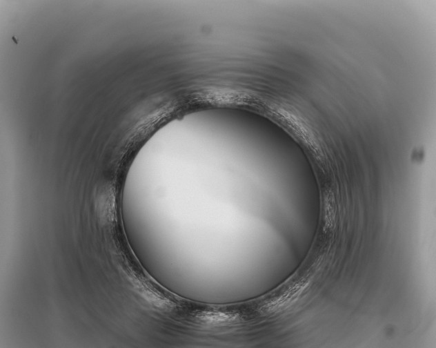 X0000096180453200801251220