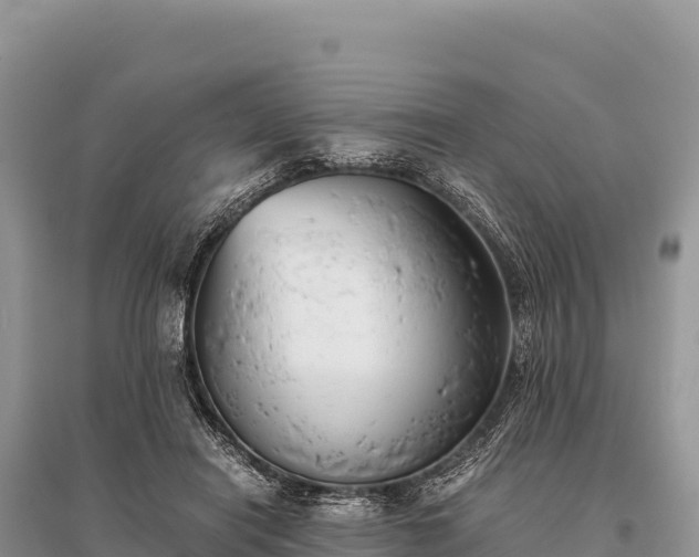 X0000096180454200801251220