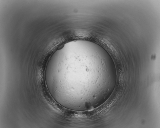 X0000096180455200801251220