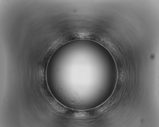 X0000096180461200801251220