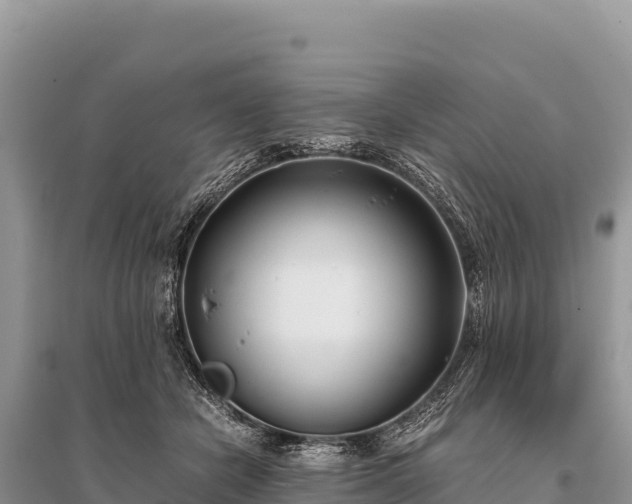 X0000096180462200801251220
