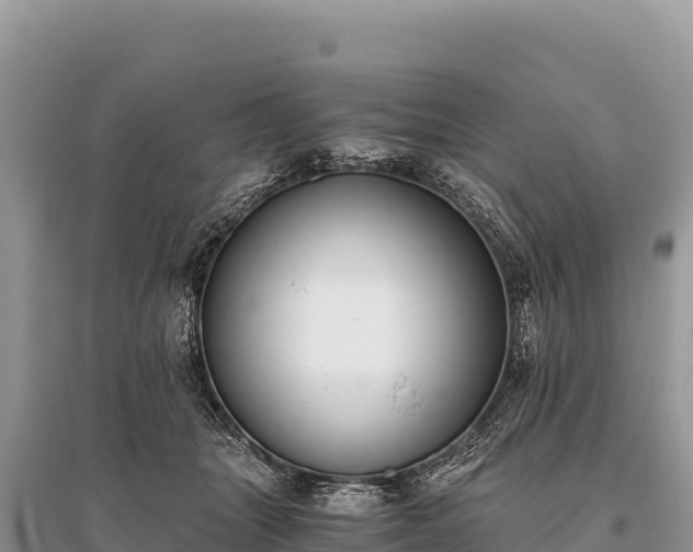 X0000096180463200801251220