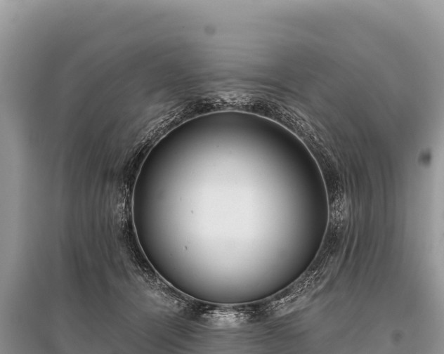 X0000096180464200801251220