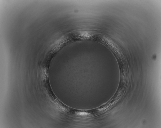 X0000096180467200801251220